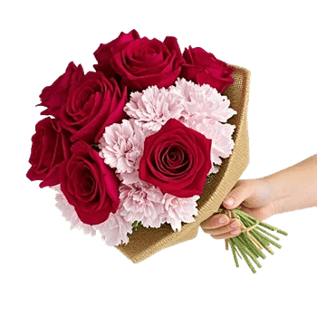 Crimson Rose Elegance