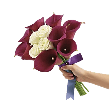 Elegant Calla Lilies