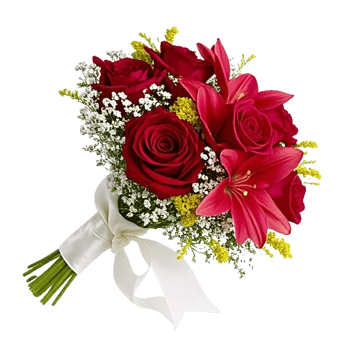 Crimson Rose Elegance