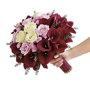 Elegant Calla Lilies