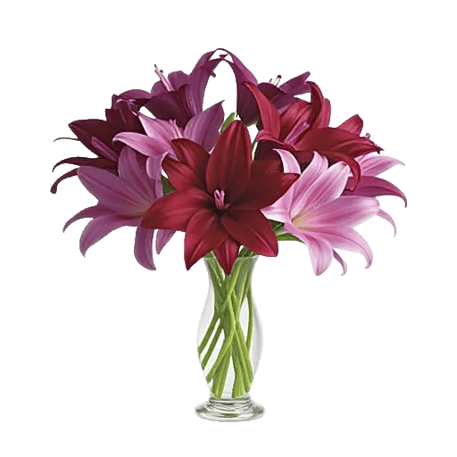 Elegant Calla Lilies