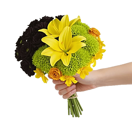 Elegant Calla Lilies