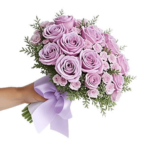 Pastel Pink Roses