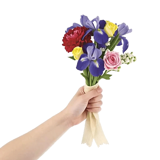 Petal Harmony Bliss