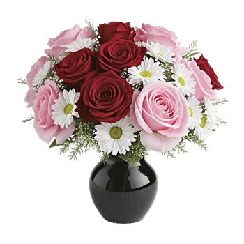 Petal Radiance Bliss