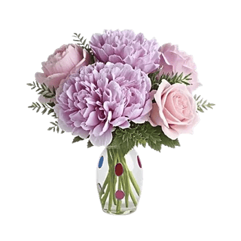 Petal Radiance Bliss