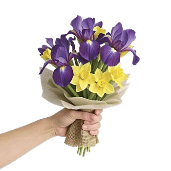 Ivory Blossom Radiance