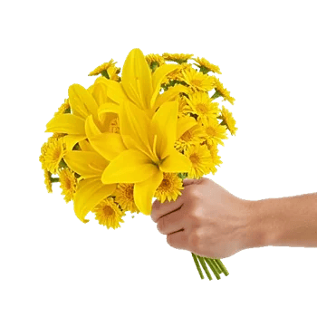 Blossom Harmony Display