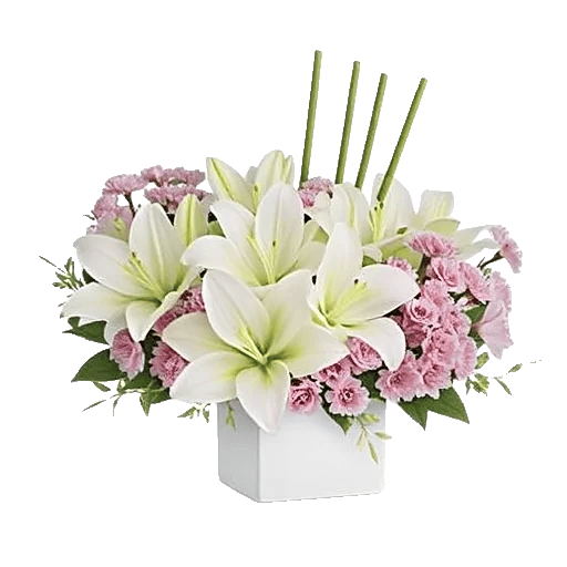 Graceful Lily Display