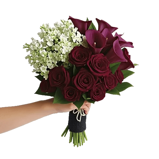 Elegant Calla Lilies