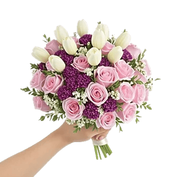 Blushing Rose Symphony