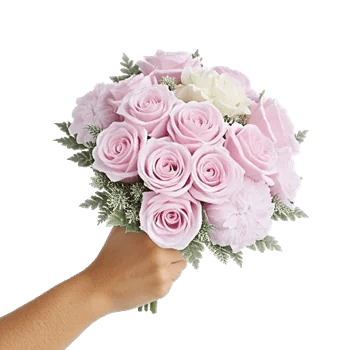 Pastel Pink Roses