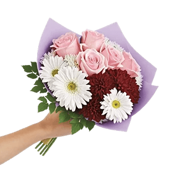 Blushing Rose Symphony