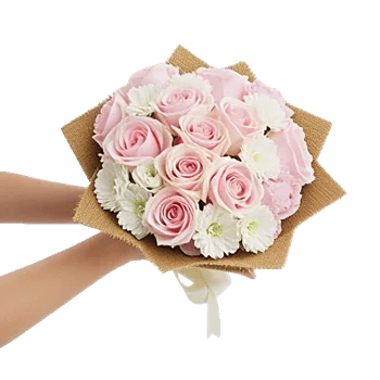 Pastel Pink Roses