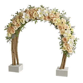 Ivory Blossom Radiance