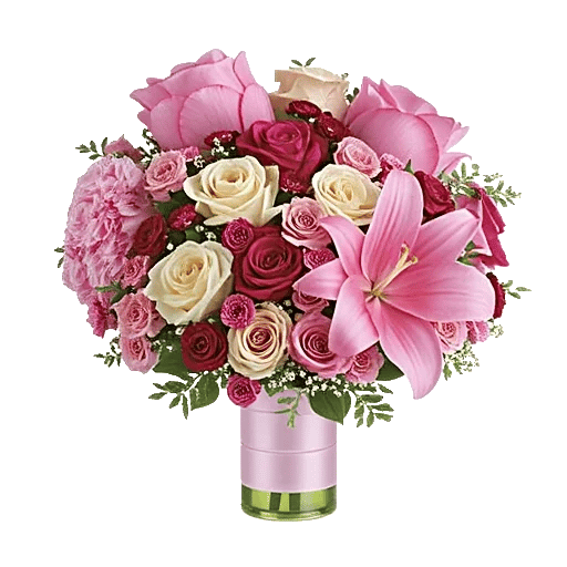 Petal Radiance Bliss