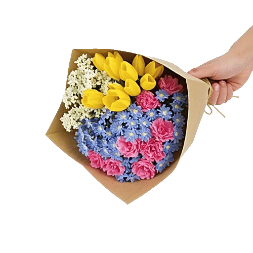 Blossom Petal Serenity