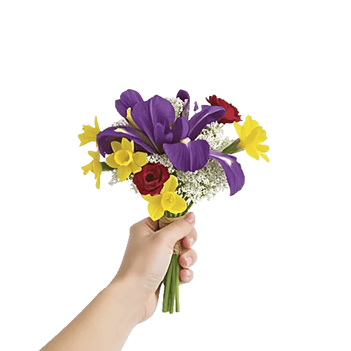 Ivory Blossom Radiance