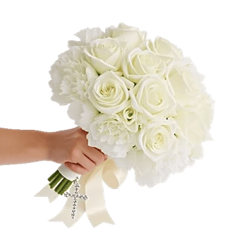 Ivory Blossom Radiance