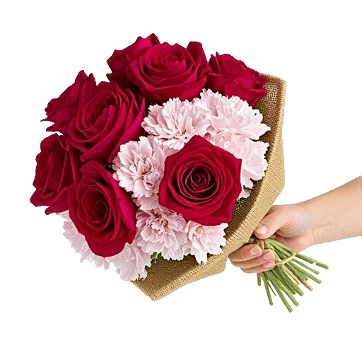 Crimson Rose Elegance