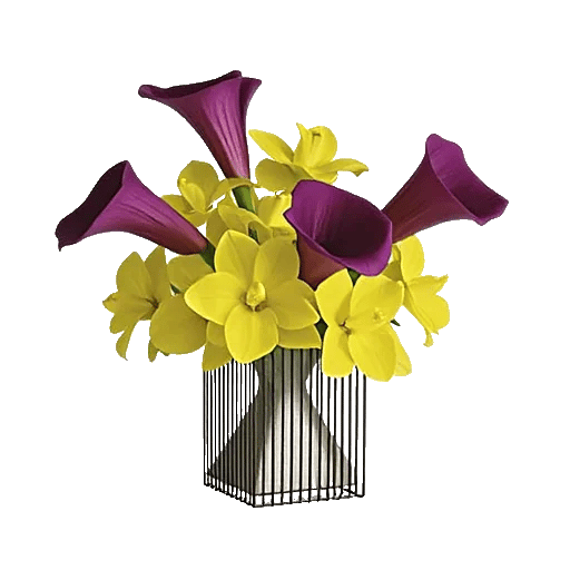 Elegant Calla Lilies