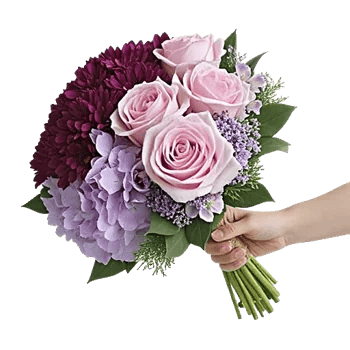 Blushing Rose Symphony