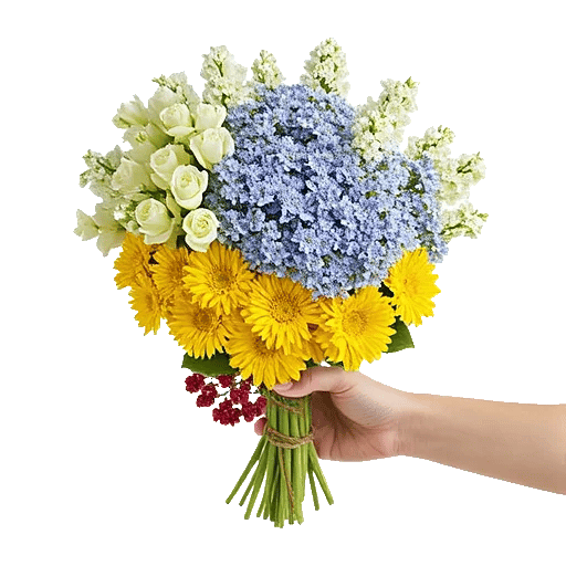 Blossom Harmony Display