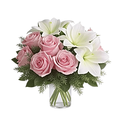 Radiant Rose Symphony