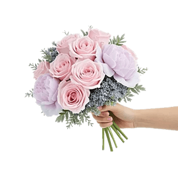 Pastel Pink Roses