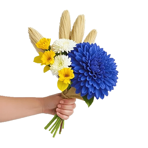 Golden Petal Harmony