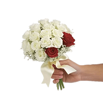 Delicate Petal Cascade