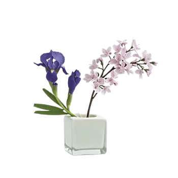 Ivory Blossom Radiance