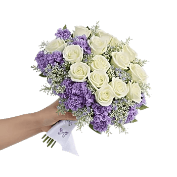 Blossom Radiant Whisper