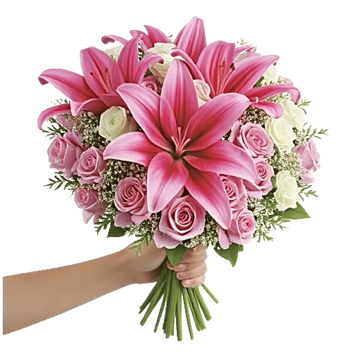 Blushing Rose Symphony