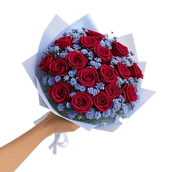 Crimson Rose Elegance