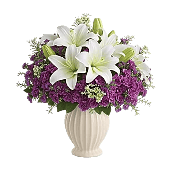 Velvet Tulip Display