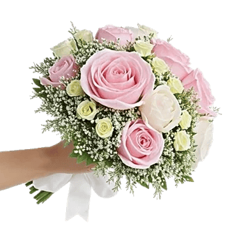 Blushing Rose Symphony