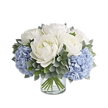 Ivory Blossom Radiance