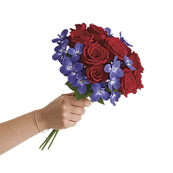 Crimson Rose Elegance