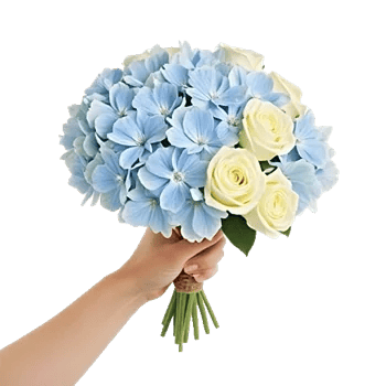 Serene Petal Harmony