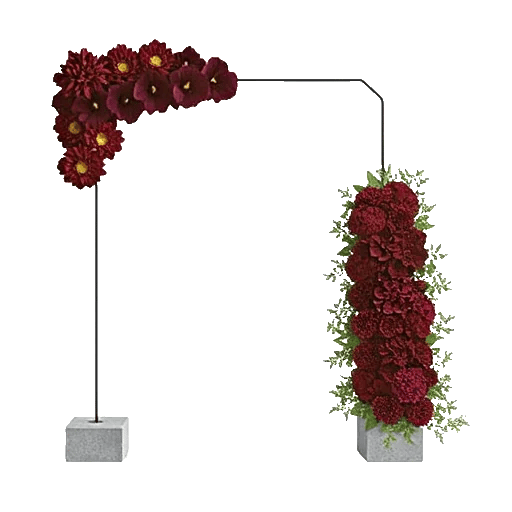 Elegant Calla Lilies