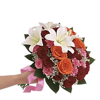 Blushing Rose Symphony