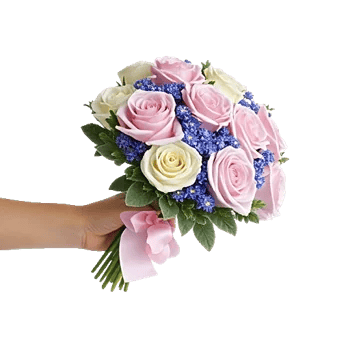 Pastel Pink Roses