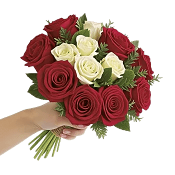 Crimson Rose Elegance