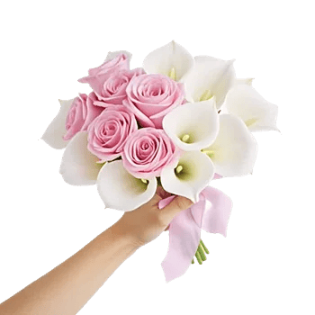 Pastel Pink Roses