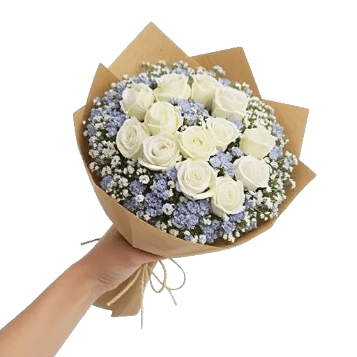 Serene Petal Harmony