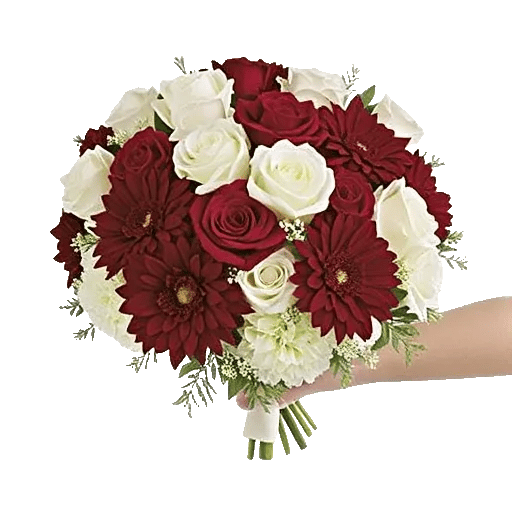 Blushing Rose Symphony