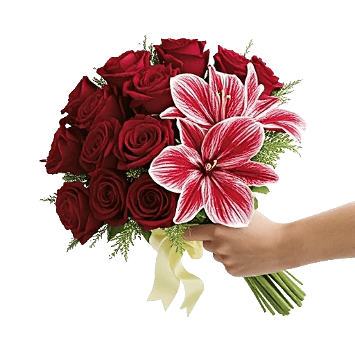 Crimson Rose Elegance