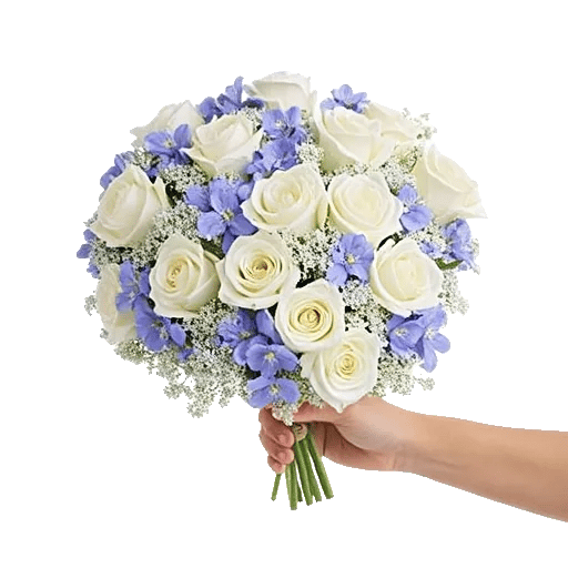 Blossom Petal Serenity