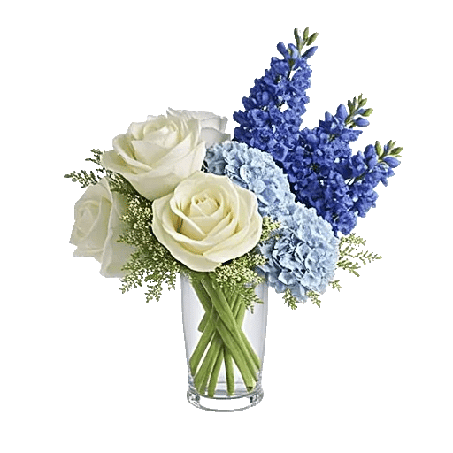 Serene Petal Harmony